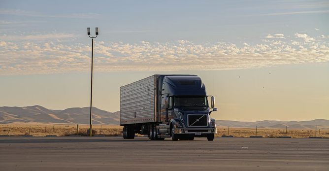 Avia truck 2024 (dalimis)